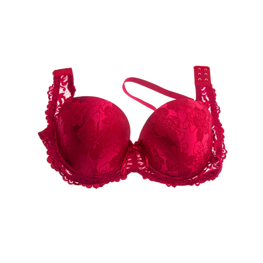 Lace Push-Up Secret Love Red Ladies Cotton Embroidered Bra at Rs