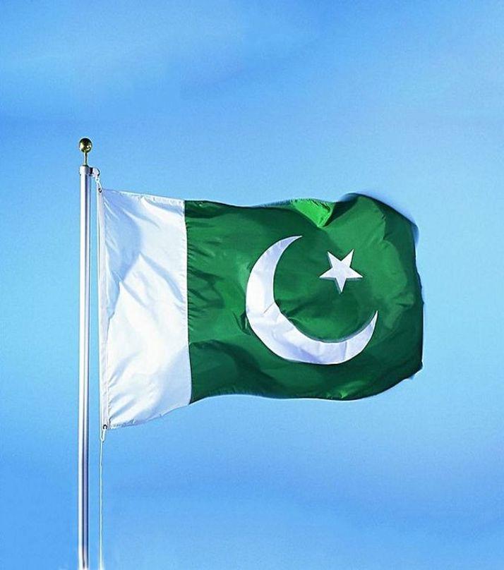 Large Size Pakistan Flag - 47x70 - Green & White