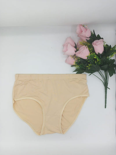 Blissful Stretchy Cotton Underwear for Women Soft Cotton Panties - Skin | Sale Price in Pakistan | Bababoota.com