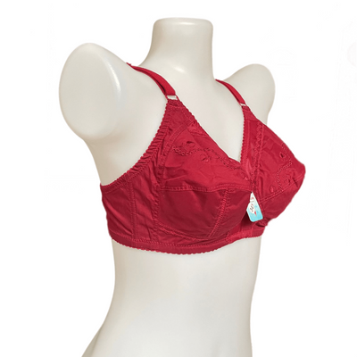 Imported Bra Online Shopping in Pakistan, Buy Imported Bra Online in  Pakistan
