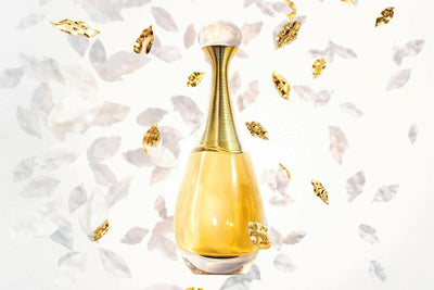 Christian Dior J'adore Edp Spray 100ml Perfume For Women